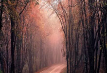 股票杠杆的投资app:股票散户交流群-家电三巨头半年考：格力独木难支 海尔美的多元破局